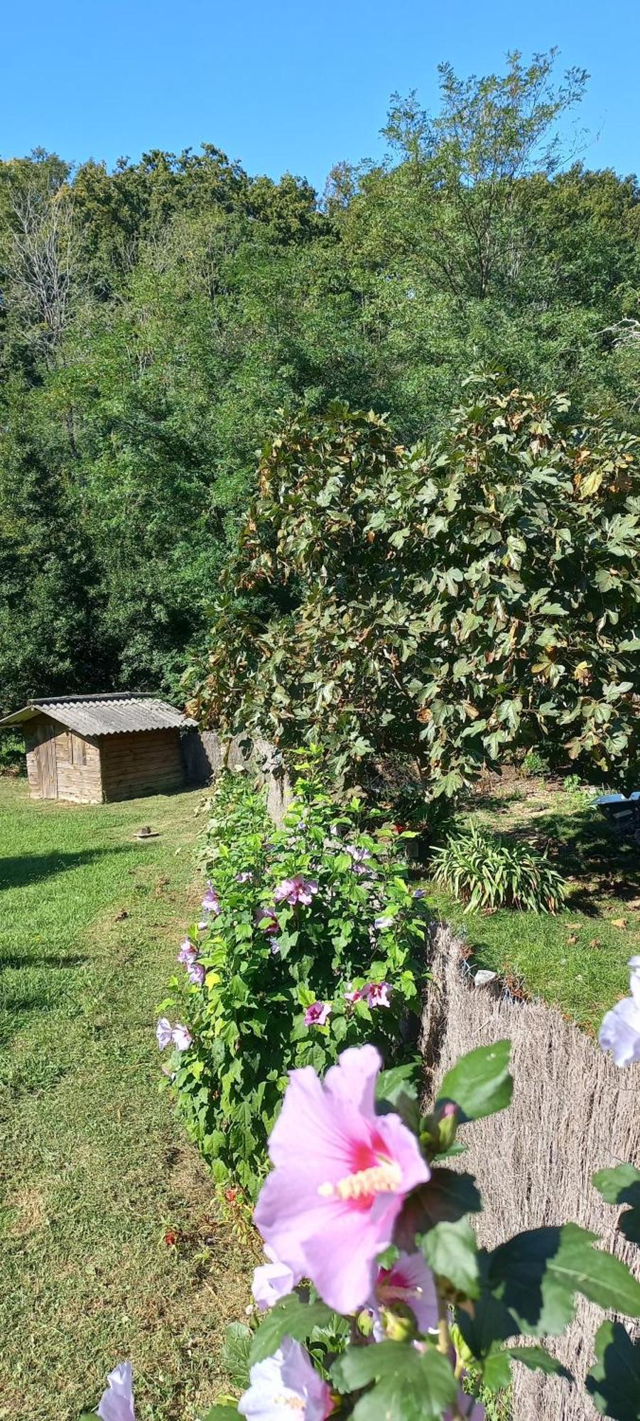 يورونْيِ La Casa Bed&Breakfast Entree Independante 26M2 Calme Proche De Tout Wifi Parking Prive Jardin Terrasse المظهر الخارجي الصورة